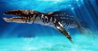 远古十大海洋凶猛巨兽排名 灭绝的恐怖海洋生物有哪些