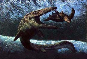 远古十大海洋凶猛巨兽排名 灭绝的恐怖海洋生物有哪些