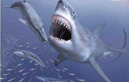 远古十大海洋凶猛巨兽排名 灭绝的恐怖海洋生物有哪些