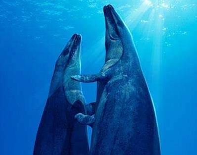 远古十大海洋凶猛巨兽排名 灭绝的恐怖海洋生物有哪些