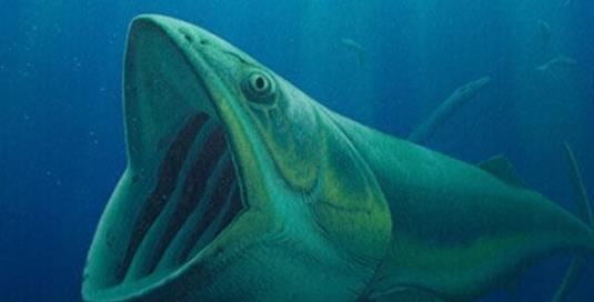 远古十大海洋凶猛巨兽排名 灭绝的恐怖海洋生物有哪些