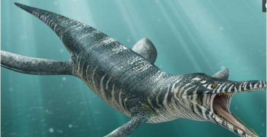 远古十大海洋凶猛巨兽排名 灭绝的恐怖海洋生物有哪些