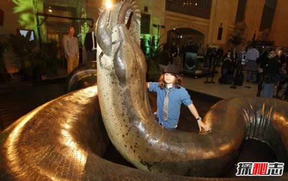 地球上的远古十大怪兽,泰坦蟒巨大(十大已灭绝巨型怪兽)