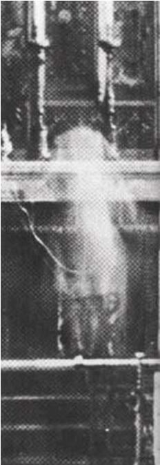 世界十大禁图恐怖图片 细看吓死人的照片