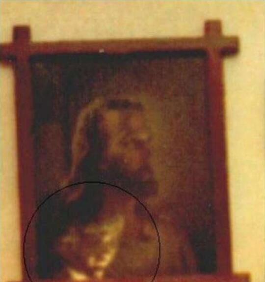 世界十大禁图恐怖图片 细看吓死人的照片