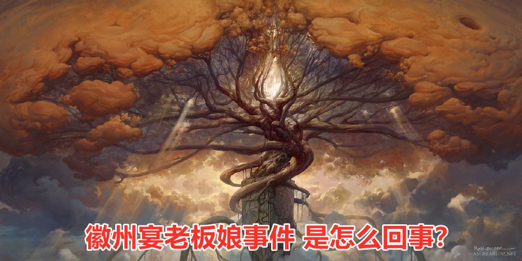 蚌埠徽州宴老板娘事件是怎么回事 处理结果来了