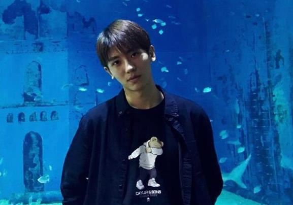 爱上邻家主厨-张宇豪的扮演者，个人资料起底