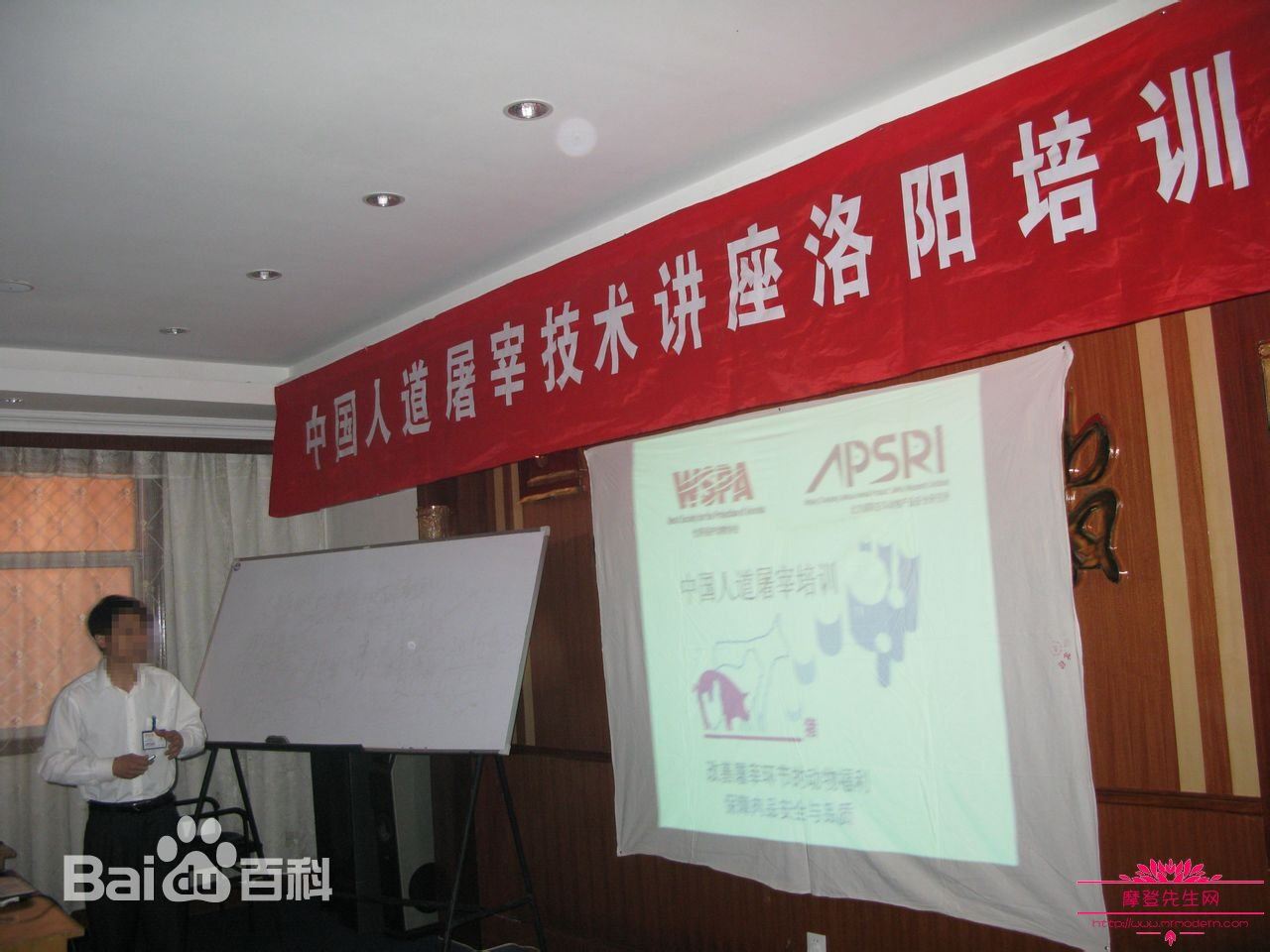 现代化屠宰场是怎么杀牛的，人道屠宰流程及标准化