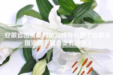 安徽省国资委网站及领导名单(安徽省国资委下属企业有哪些)