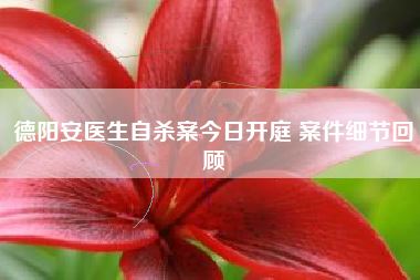 德阳安医生自杀案今日开庭 案件细节回顾