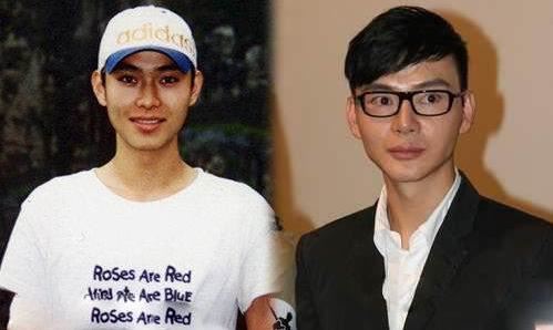 海岩的儿子简介：海岩的儿子整容前后照片