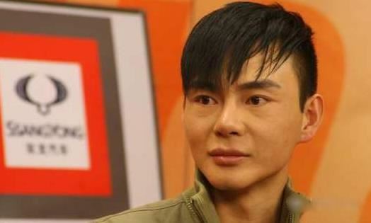 海岩的儿子简介：海岩的儿子整容前后照片