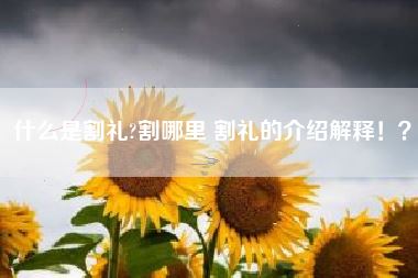 什么是割礼?割哪里 割礼的介绍解释!?