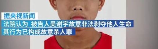 吴谢宇为什么杀母谢天琴,北大吴谢宇弑母原因案件全过程