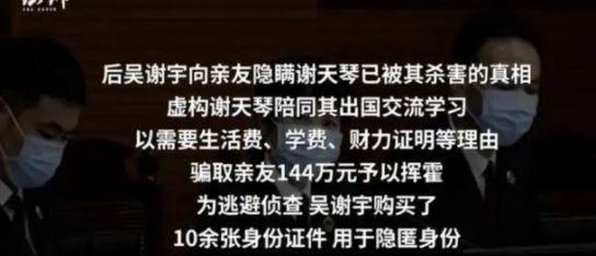 吴谢宇为什么杀母谢天琴,北大吴谢宇弑母原因案件全过程