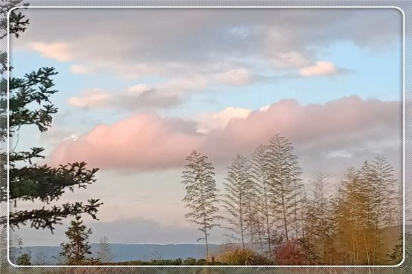 非洲象人族：食人族硬起真实照片 实拍食人族真实生活