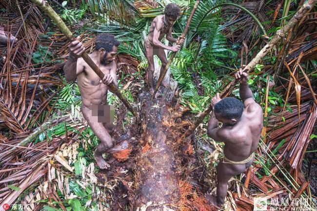 非洲象人族：食人族硬起真实照片 实拍食人族真实生活