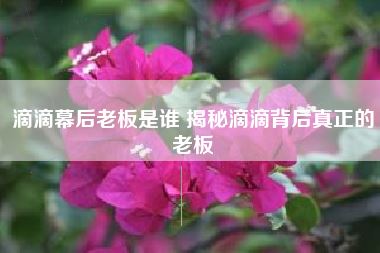 滴滴幕后老板是谁 揭秘滴滴背后真正的老板