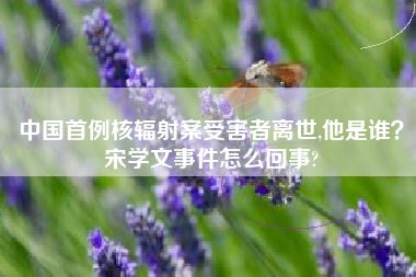 中国首例核辐射案受害者离世,他是谁?宋学文事件怎么回事?