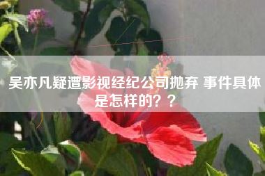 吴亦凡疑遭影视经纪公司抛弃 事件具体是怎样的??
