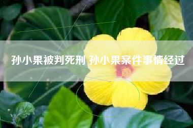 孙小果被判死刑 孙小果案件事情经过
