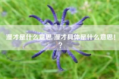漫才是什么意思 漫才具体是什么意思！？