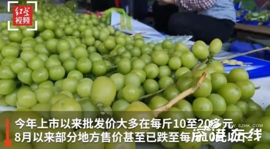 阳光玫瑰葡萄从每斤300元跌至10元,什么原因导致的??