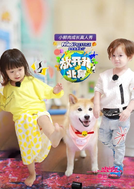 放开我北鼻里面孩子都有谁?揭晓放开我北鼻妍妍退出录制的真实原因