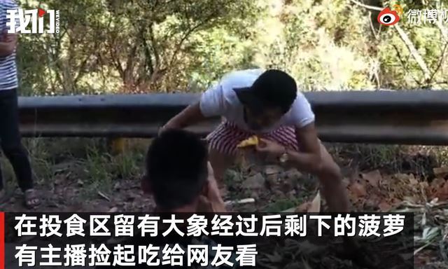 相关部门介入主播直播吃象群食物 按照规章和管理要求介入