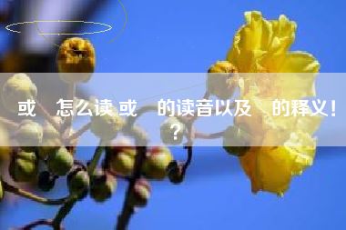 或彧怎么读 或彧的读音以及彧的释义!?