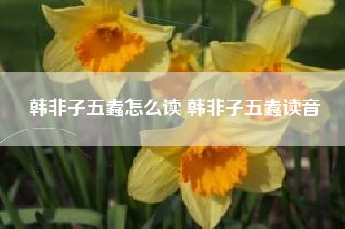 韩非子五蠹怎么读 韩非子五蠹读音