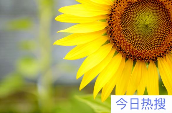 2021年7月1日建党一百周年大阅兵吗 2021党成立100周年大阅兵