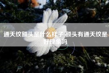 通天纹额头是什么样子 额头有通天纹是好现象吗
