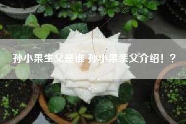孙小果生父是谁 孙小果亲父介绍!?