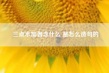 三点水加者念什么 是怎么造句的