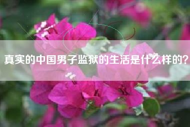 真实的中国男子监狱的生活是什么样的?