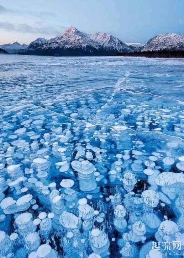 北极甲烷大爆发是什么意思 北极甲烷大爆发后果是什么