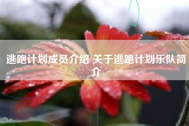 逃跑计划成员介绍 关于逃跑计划乐队简介