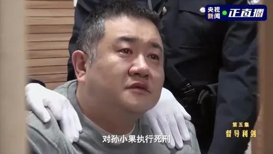 孙小果案件牵涉到的最高级别官员,孙小果案相关人员处理结果