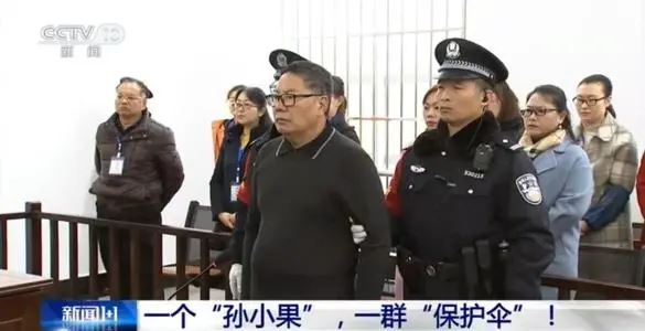 孙小果案件牵涉到的最高级别官员,孙小果案相关人员处理结果