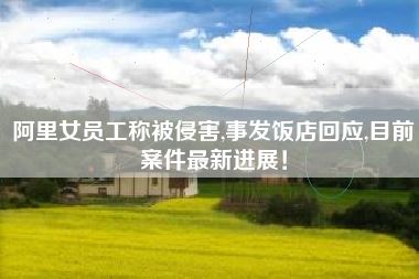阿里女员工称被侵害,事发饭店回应,目前案件最新进展！