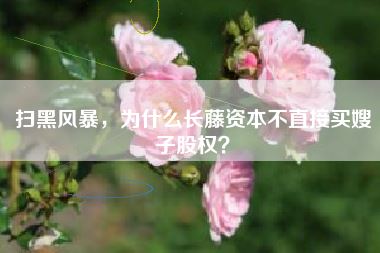 扫黑风暴,为什么长藤资本不直接买嫂子股权?