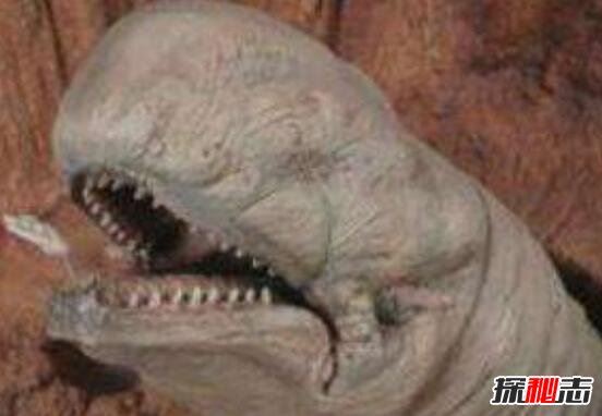 太空蛞蝓真的存在吗，体长900米的异形生物(不停疯长)