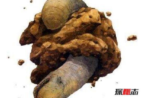 太空蛞蝓真的存在吗，体长900米的异形生物(不停疯长)