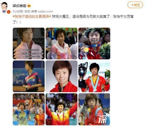 张怡宁退役的主要原因 张怡宁为什么巅峰退役??