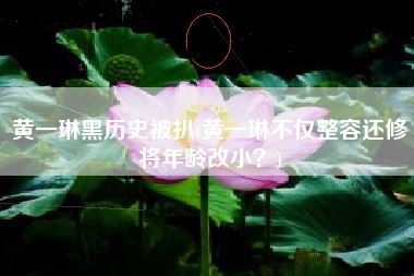 黄一琳黑历史被扒(黄一琳不仅整容还修将年龄改小?)