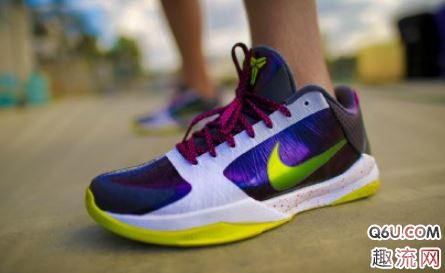 科比zk5将在2020年复刻回归 科比zk5有哪些值得入手的配色