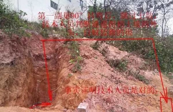 蚁后的样子图片，挖出30年蚁后竟长这样