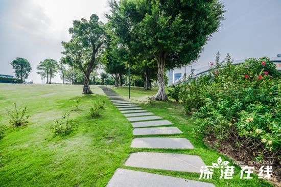 深圳湾公园好玩吗?都有哪些景点?深圳湾公园游玩指南?