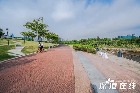深圳湾公园好玩吗?都有哪些景点?深圳湾公园游玩指南?